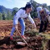 Potret sederhana krisdayanti di Kota batu.