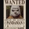 Pandaman One Piece