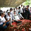 Bunda Iffet Bimbim Slank