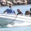 beyonce