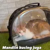 Hotel Kucing Milik Tya Ariestya