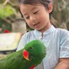 Anak Rini Yulianti Xavier Korea Ganteng
