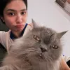 Mikha Tambayong, Chelsea