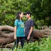 Sinetron Dari Jendela SMP