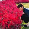 Ten NCT