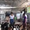 awkarin, berita awkarin, aksi kebaikan awkarin