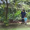 Ani Yudhoyono