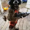 kostum halloween, halloween costume