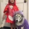 kostum halloween, halloween costume