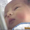 bayi della