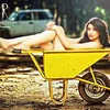 All Artist Bollywood