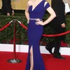 SAG Awards 2014