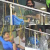 Candid Bollywood