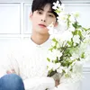 Raja dan Ratu Visual K-Pop