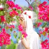 dian pelangi