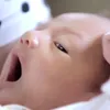 Anak Anang dan Ashanty