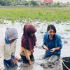 Soraya Rasyid