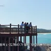 Cast Goblin di pantai