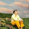 Kecocokan Cewek Virgo dan Wonwoo SEVENTEEN
