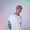 Kecocokan Cewek Leo an Hoshi SEVENTEEN