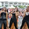 Grup Musik Dengan Nama Hewan