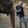  Cinta Laura Bersama Gajah
