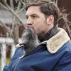 tom hardy, berita tom hardy, artis penyayang binatang, tom hardy penyayang binatang