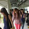 Cherry Belle