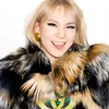 cl 2ne1