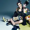 cl 2ne1