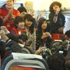 Coboy Junior