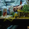 CSI The Experience