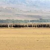 film mongol