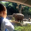 Titi Kamal