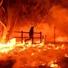 Kebakaran di California