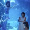 Gisel tampak terkejut saat melihat para mermaid menyapanya dari dalam akuarium.