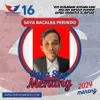 Komedian Masuk Politik