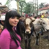 Selebritis kurban