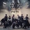 anniversary exo kelima
