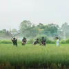 Proses Pembuatan Film Baim Wong