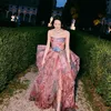 Shu Qi