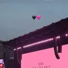 Artis Korea yang Nonton Konser BLACKPINK