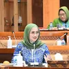 Deretan Artis yang Mencalonkan Diri Jadi Anggota DPR dari PAN