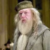 Deretan Bintang Harry Potter yang Telah Meninggal Dunia
