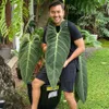 Anjasmara