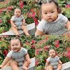 Baby Xarena - Siti Badriah - Krisjiana