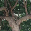 foto unik, foto aneh, foto lucu, foto keren