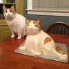 cake fail, fails, foto unik, foto lucu, foto fails