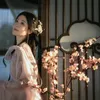 Zhai Yiying Debut yang Membuka Jalan Karier