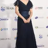 grand bell awards 2017 red carpet
